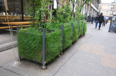 Urban Greening with Recycled Grass Planter Pots at Old Truman ...