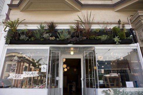 wall planters on shop
