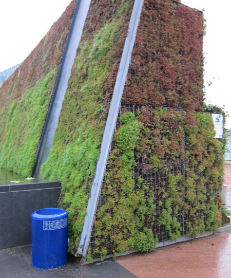 green wall planters