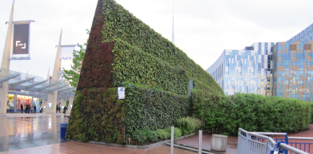 green wall setting in urban area